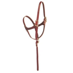 Weaver Leather Weaver Figure 8 Foal Halter 5/8 Suckling