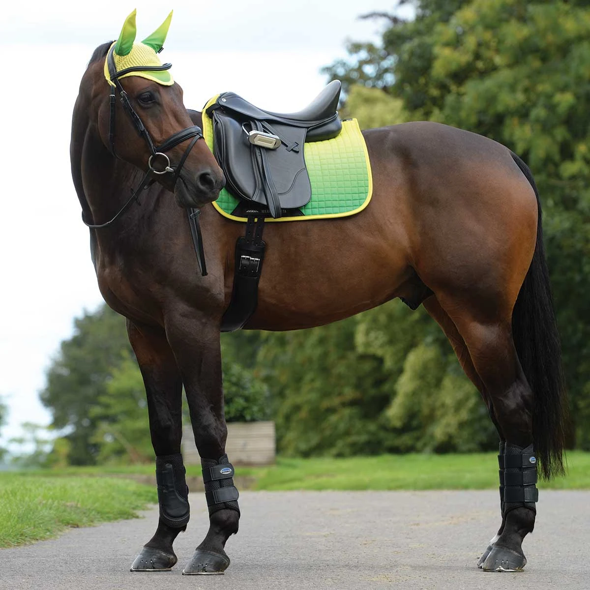 Weatherbeeta Prime Ombre Dressage Saddle Pad 8 Weatherbeeta Prime Ombre Dressage Saddle Pad - Image 8