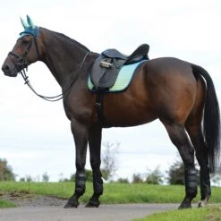 Weatherbeeta Prime Ombre Dressage Saddle Pad 14 Weatherbeeta Prime Ombre Dressage Saddle Pad -Equestrian Equipment Store 1002677w c1168 alt1