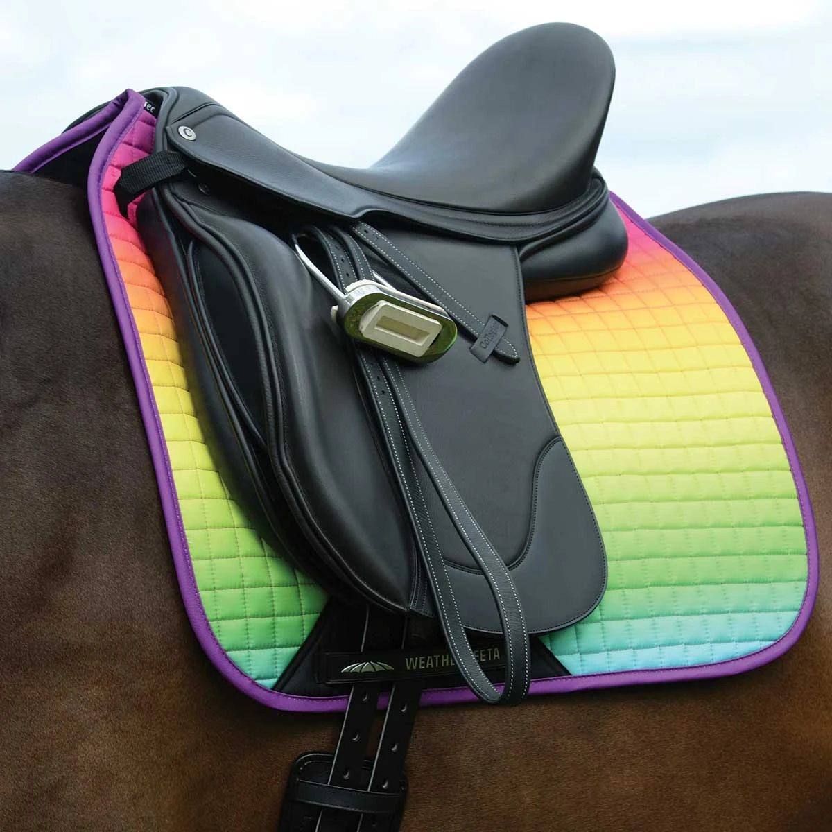 Weatherbeeta Prime Ombre Dressage Saddle Pad 1 Weatherbeeta Prime Ombre Dressage Saddle Pad