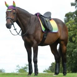 Weatherbeeta Prime Ombre Dressage Saddle Pad 17 Weatherbeeta Prime Ombre Dressage Saddle Pad -Equestrian Equipment Store 1002677w c1332 alt1