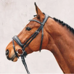 Schockemohle Stanford Anatomic Bridle