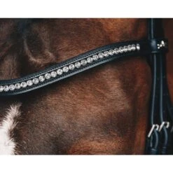 Schockemohle Select And Mix Diamond Browband -Equestrian Equipment Store 1102 00079 c1125