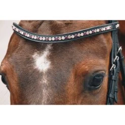 Schockemohle Select And Mix Diamond Browband -Equestrian Equipment Store 1102 00079 c1157