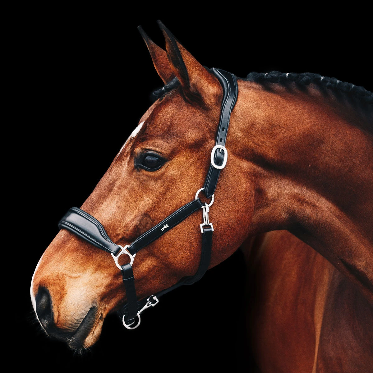 Schockemohle Fremont Anatomic Leather Halter 1 Schockemohle Fremont Anatomic Leather Halter