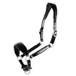 Schockemohle Fremont Anatomic Leather Halter 7 Schockemohle Fremont Anatomic Leather Halter -Equestrian Equipment Store 1310 00012 c1105 alt3