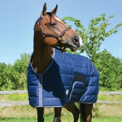 Country Pride Squall Heavyweight Stable Blanket