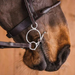 Fager Gustav Sweet Iron Universal Baby Fulmer Bit - Test Ride Bit -Equestrian Equipment Store 22gust u 4