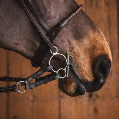 Fager Gustav Sweet Iron Universal Baby Fulmer Bit - Test Ride Bit -Equestrian Equipment Store 22gust u 5