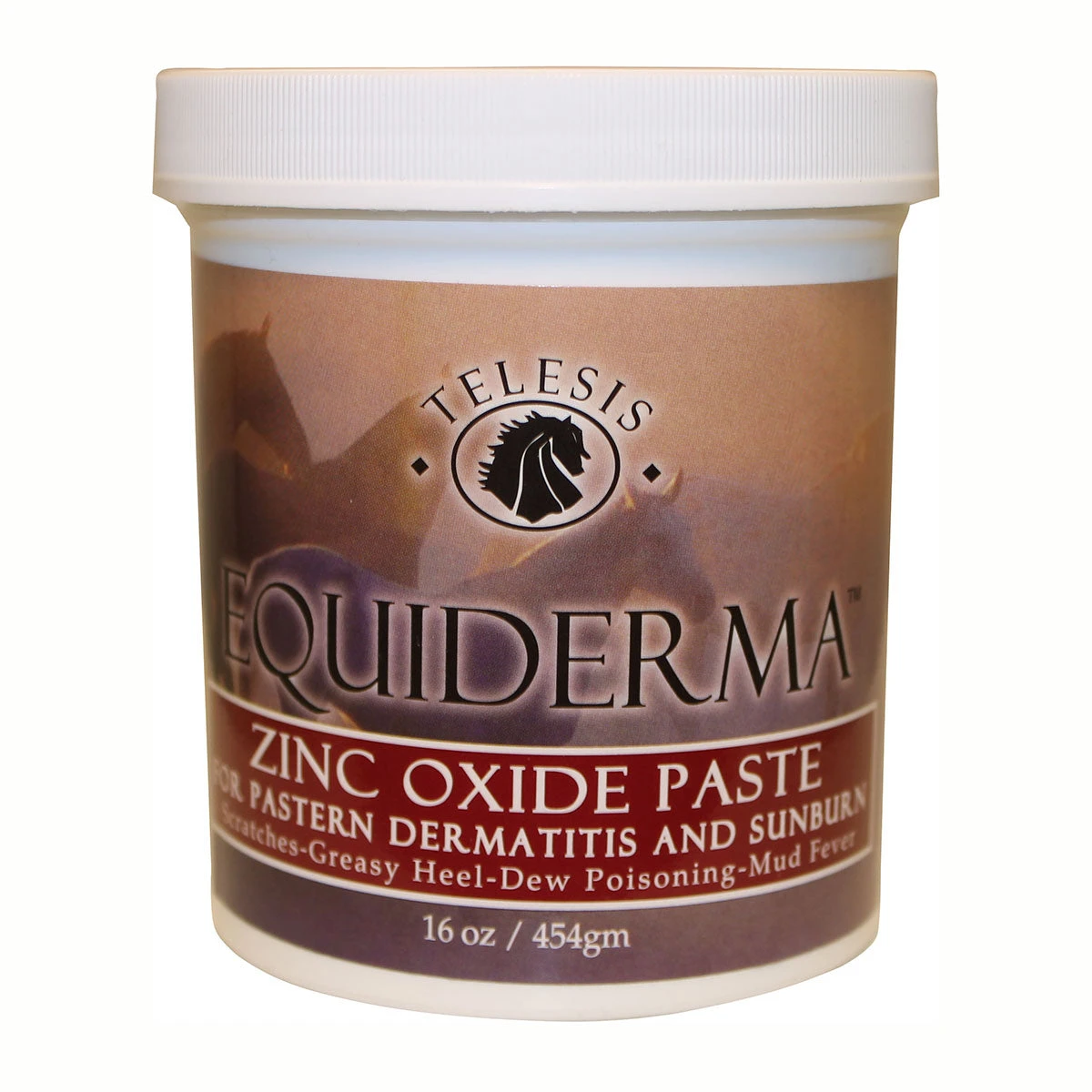Equiderma Zinc Oxide Paste 16 Oz 1 Equiderma Zinc Oxide Paste 16 Oz