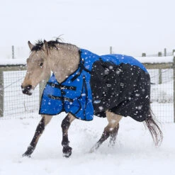 Tough 1 Bellyband 1200D Turnout Blanket With Snuggit Neck 250 Gm -Equestrian Equipment Store 32 12250 c1106 alt1