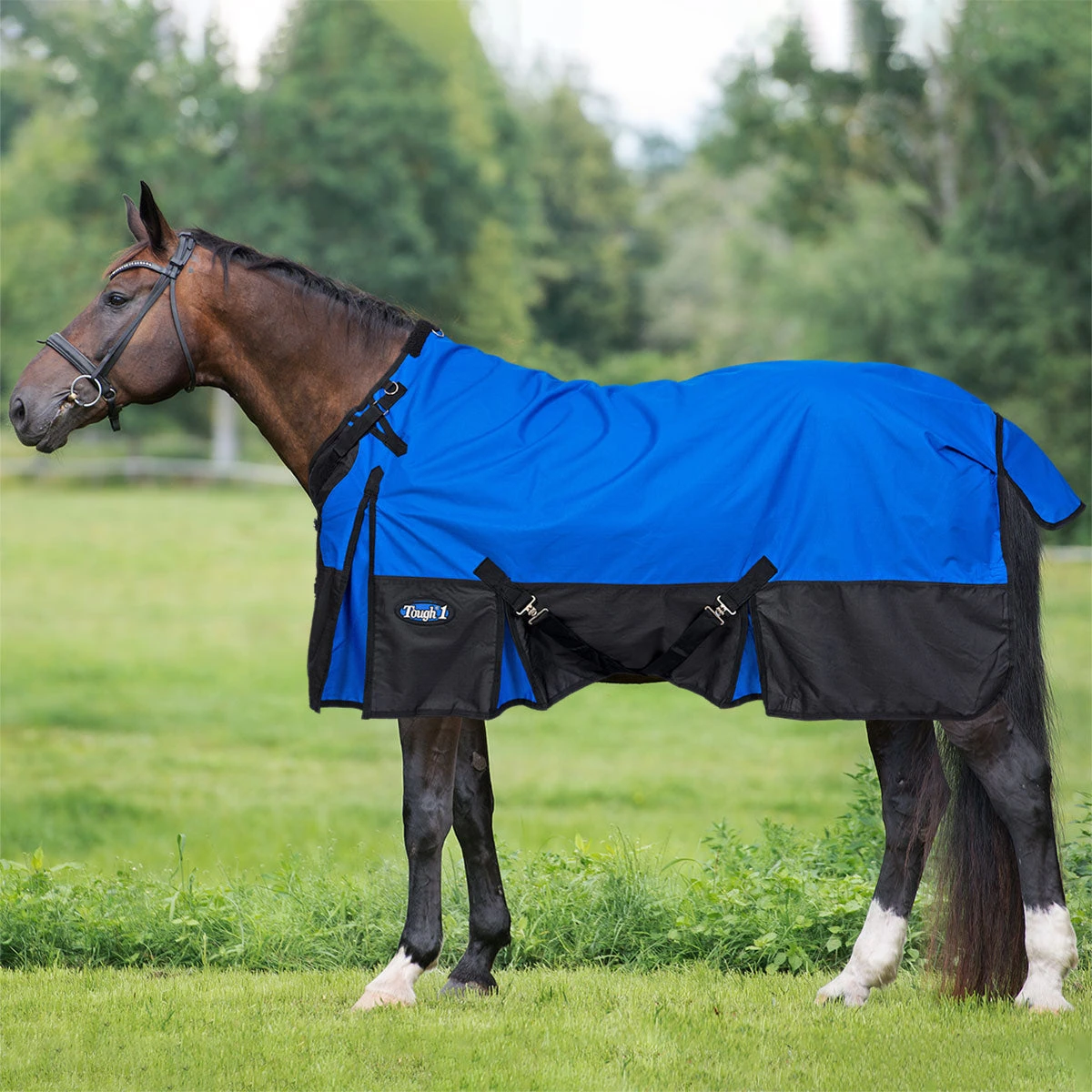 Tough 1 Turnout Sheet 1200D With Snuggit Neck 2 Tough 1 Turnout Sheet 1200D With Snuggit Neck - Image 2