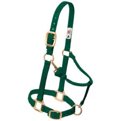 Weaver Leather Weaver Nylon Halter Weanling Pony Size 12 Weaver Leather Weaver Nylon Halter Weanling Pony Size -Equestrian Equipment Store 35 1032 c1129