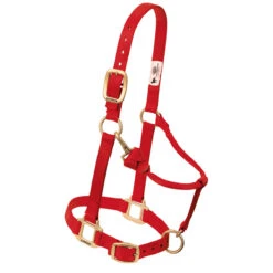 Weaver Leather Weaver Nylon Halter Weanling Pony Size 11 Weaver Leather Weaver Nylon Halter Weanling Pony Size -Equestrian Equipment Store 35 1032 c1158
