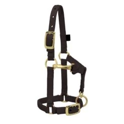 Weaver Leather Weaver Miniature Horse Adjustable Nylon Halter Large -Equestrian Equipment Store 35 4805 c1105 a6924732 b990 43ef 8f53 65ee5ef75f3a