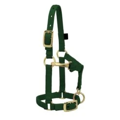Weaver Leather Weaver Miniature Horse Adjustable Nylon Halter Large -Equestrian Equipment Store 35 4805 c1129