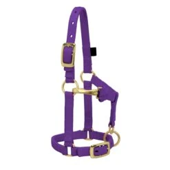 Weaver Leather Weaver Miniature Horse Adjustable Nylon Halter Large -Equestrian Equipment Store 35 4805 c1157