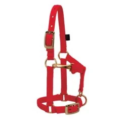 Weaver Leather Weaver Miniature Horse Adjustable Nylon Halter Large -Equestrian Equipment Store 35 4805 c1158