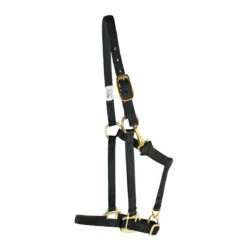 Weaver Leather Weaver Nylon Halter Average - Arabian Size -Equestrian Equipment Store 35 5035 c1105 639daecb a9aa 4693 94d1 4ec0e27b8a2f