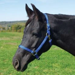 Weaver Leather Weaver Nylon Halter Average - Arabian Size -Equestrian Equipment Store 35 5035 c1106