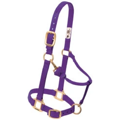 Weaver Leather Weaver Original Yearling Horse Nylon Halter -Equestrian Equipment Store 35 7033 c1157