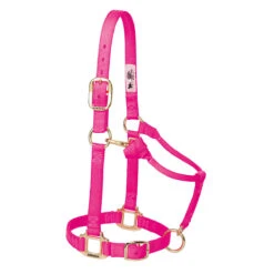 Weaver Leather Weaver Nylon Halter Average Horse Size -Equestrian Equipment Store 35 7035 c1128 7b7dfd28 3416 46ba 9652 39ec70c51464