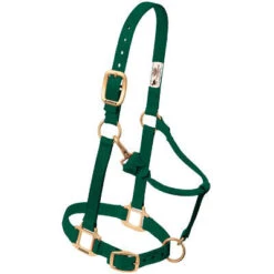 Weaver Leather Weaver Nylon Halter Average Horse Size -Equestrian Equipment Store 35 7035 c1129