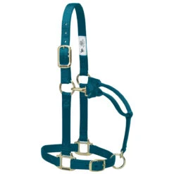 Weaver Leather Weaver Nylon Halter Average Horse Size -Equestrian Equipment Store 35 7035 c1168 1ac34410 e419 44f8 ac2c a2815738a9c3