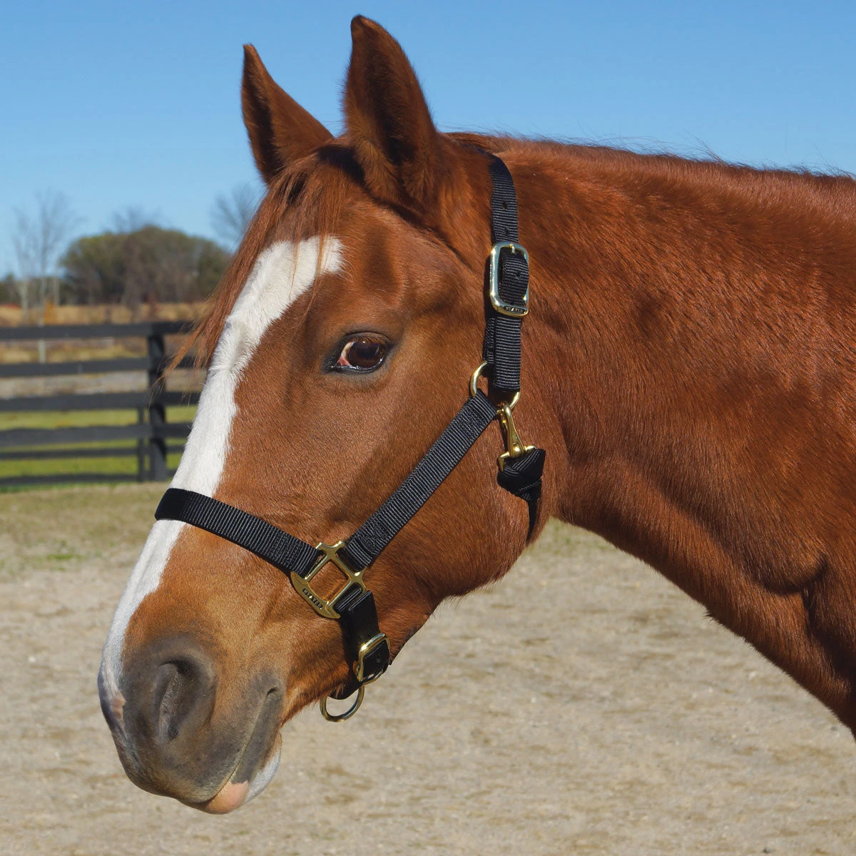 Weaver Leather Weaver Original Large Horse Nylon Halter 4 Weaver Leather Weaver Original Large Horse Nylon Halter - Image 4