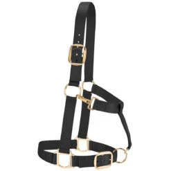 Weaver Leather Weaver Draft Horse Halter Nylon - Average Draft Size -Equestrian Equipment Store 35 7635 c1105 4a97225d 0d2d 4003 8519 9d1ec7cf782f