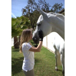 HandsOn Grooming Gloves Pair -Equestrian Equipment Store 35053 3
