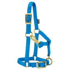 Weaver Leather Weaver Miniature Horse Nylon Halter - Average Size -Equestrian Equipment Store 3760 c1130