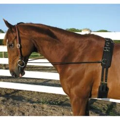 Camelot Neck Stretcher Elastic