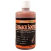 Formula 1 Noni Stomach Soother Papaya 32 Oz