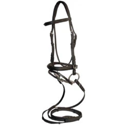 Ovation Dressage Bridle With Comfort Crown
