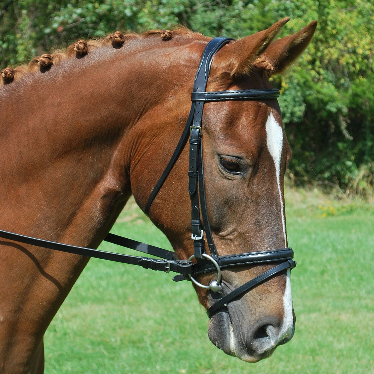 KL Select Red Barn Levade Padded Dressage Bridle 1 KL Select Red Barn Levade Padded Dressage Bridle
