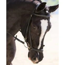 KL Select Drop Noseband