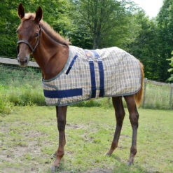 5/A Baker Foal Expand O Blanket