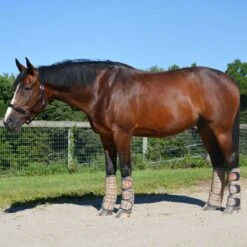 5/A Baker Transport Boots Set Of 4 -Equestrian Equipment Store 7073j c1316 alt1