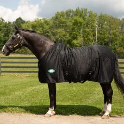 Country Pride Solid Color Cotton Poly Summer Stable Sheet -Equestrian Equipment Store 7306t c1105 fabe5654 96bd 44a7 847d b138016cfdfa