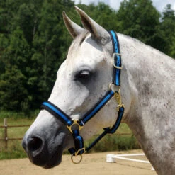 Country Pride Padded Two Tone Nylon Halter -Equestrian Equipment Store 858735 c1106 f3da79ed 4d7e 401e 8421 1dfd191f156a