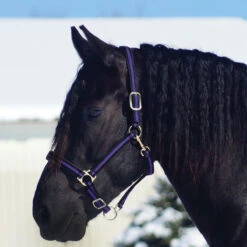 Country Pride Padded Two Tone Nylon Halter -Equestrian Equipment Store 858735 c1157