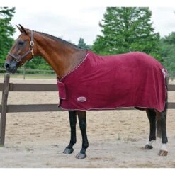 Country Pride Deluxe Fleece Show Cooler -Equestrian Equipment Store 92 536 c1110 8ad8eb16 6548 41a8 b655 2afda3320df6