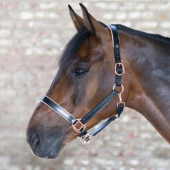 Waldhausen X-Line Rose Black Leather Halter With Rose Gold Hardware
