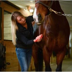 Wahl KM Cordless 2 Speed Clipper Kit -Equestrian Equipment Store 9596 100 c1156 alt3