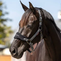 LeMieux Vogue Halter And Leadrope Set -Equestrian Equipment Store it0082 c1105 alt1