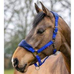 LeMieux Vogue Halter And Leadrope Set -Equestrian Equipment Store it0082 c1106 alt1