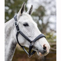 LeMieux Stitched Anatomical Leather Halter -Equestrian Equipment Store it00882 c1105 alt3