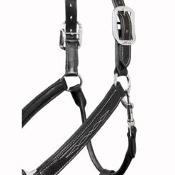 LeMieux Stitched Anatomical Leather Halter -Equestrian Equipment Store it00882 c1105 alt4