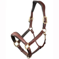 LeMieux Stitched Anatomical Leather Halter -Equestrian Equipment Store it00882 c1109 alt1